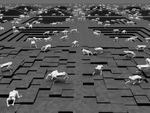 TAR: Teacher-Aligned Representations via Contrastive Learning for Quadrupedal Locomotion