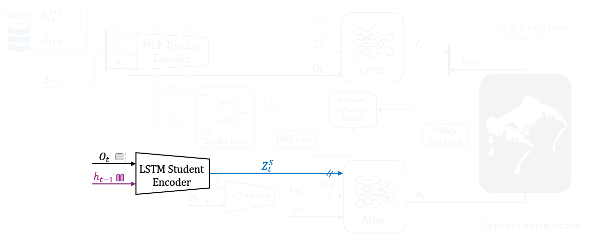 TAR Training Architecture