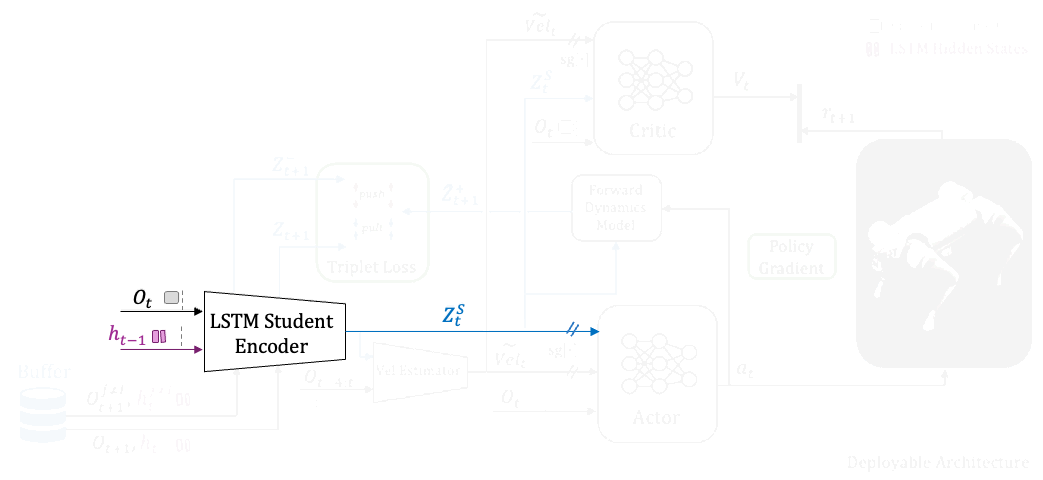 Privileged-Free Fine-Tuning